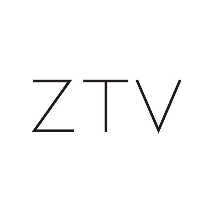 03类-日化用品ZTV商标转让