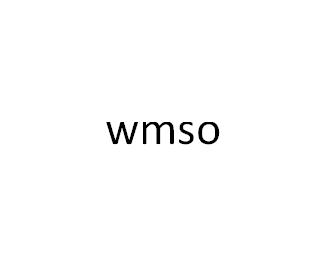 25类-服装鞋帽WMSO商标转让