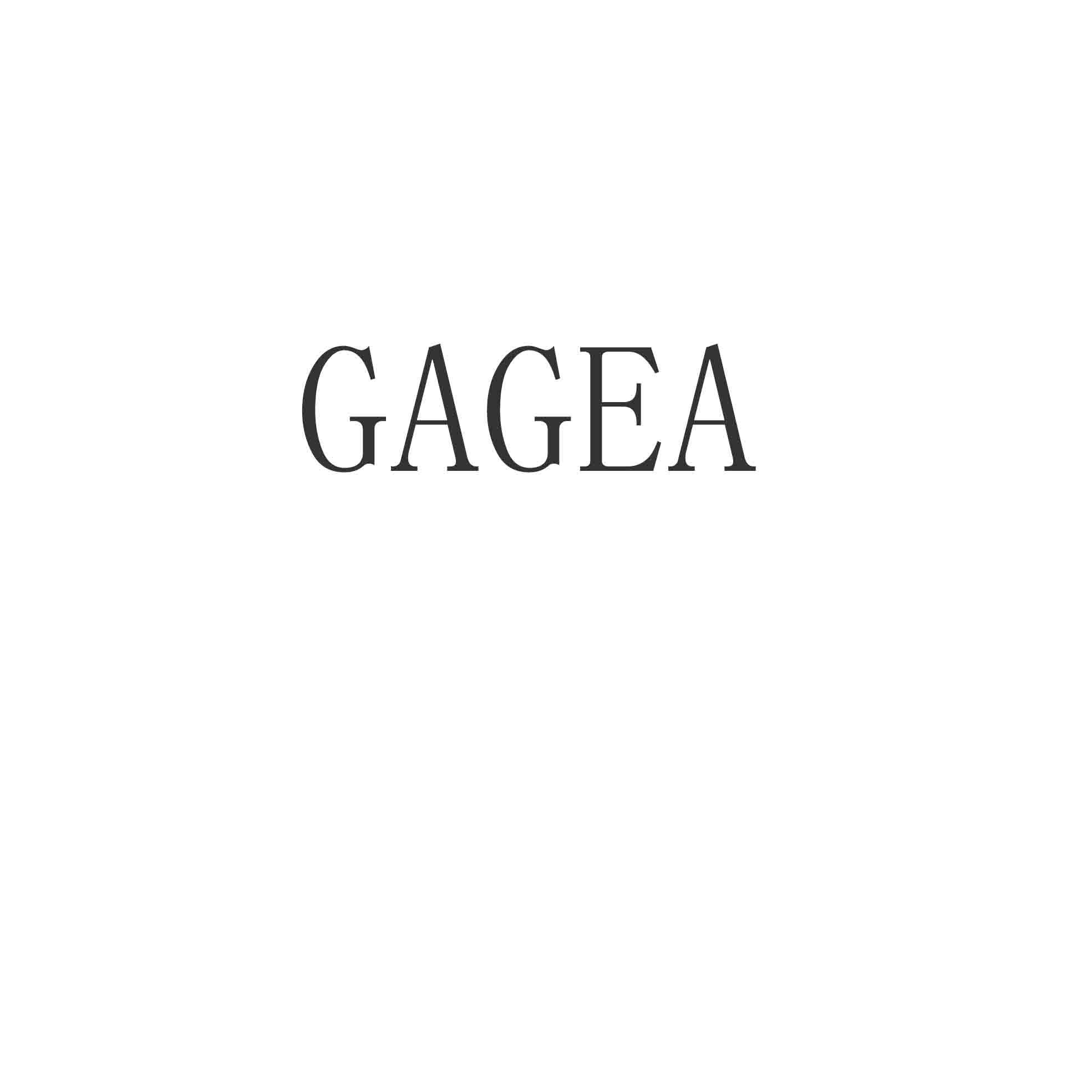 38类-通讯服务GAGEA商标转让