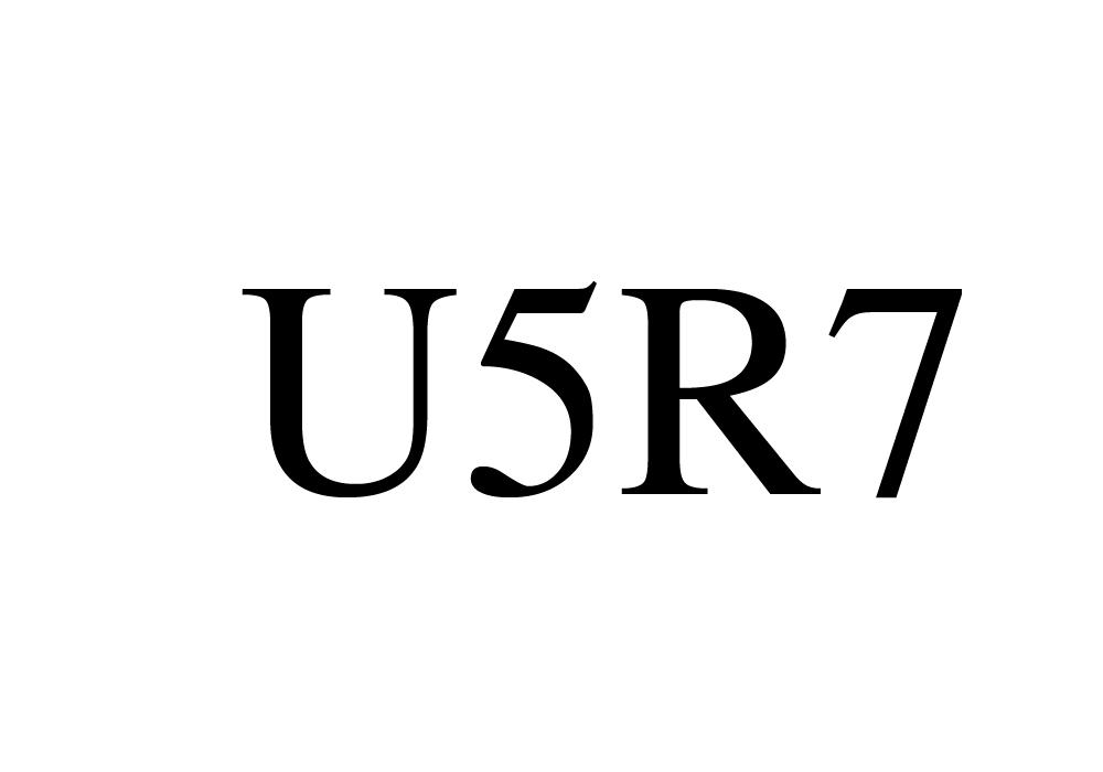U 5 R 7商标转让