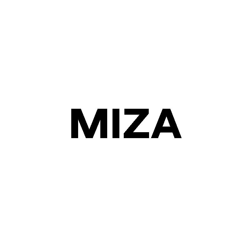 35类-广告销售MIZA商标转让