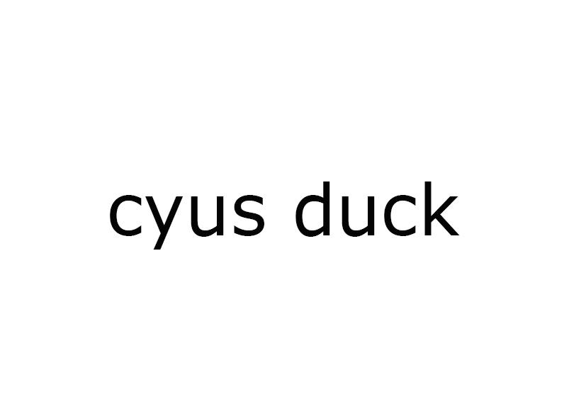 21类-厨具瓷器CYUS DUCK商标转让