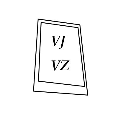 25类-服装鞋帽VJ VZ商标转让