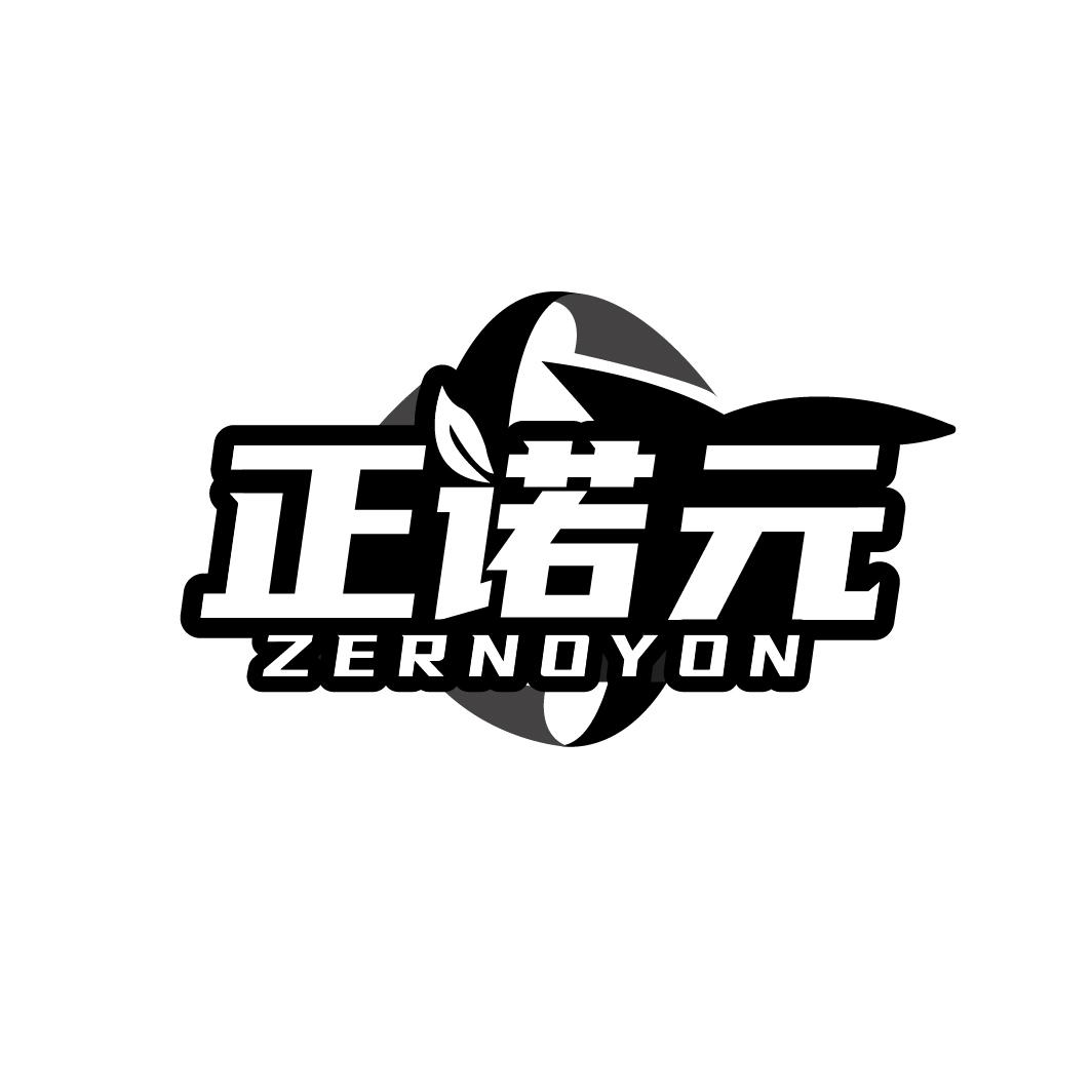 正诺元 ZERNOYON