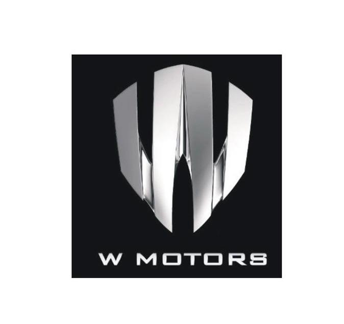 14类-珠宝钟表W MOTORS商标转让