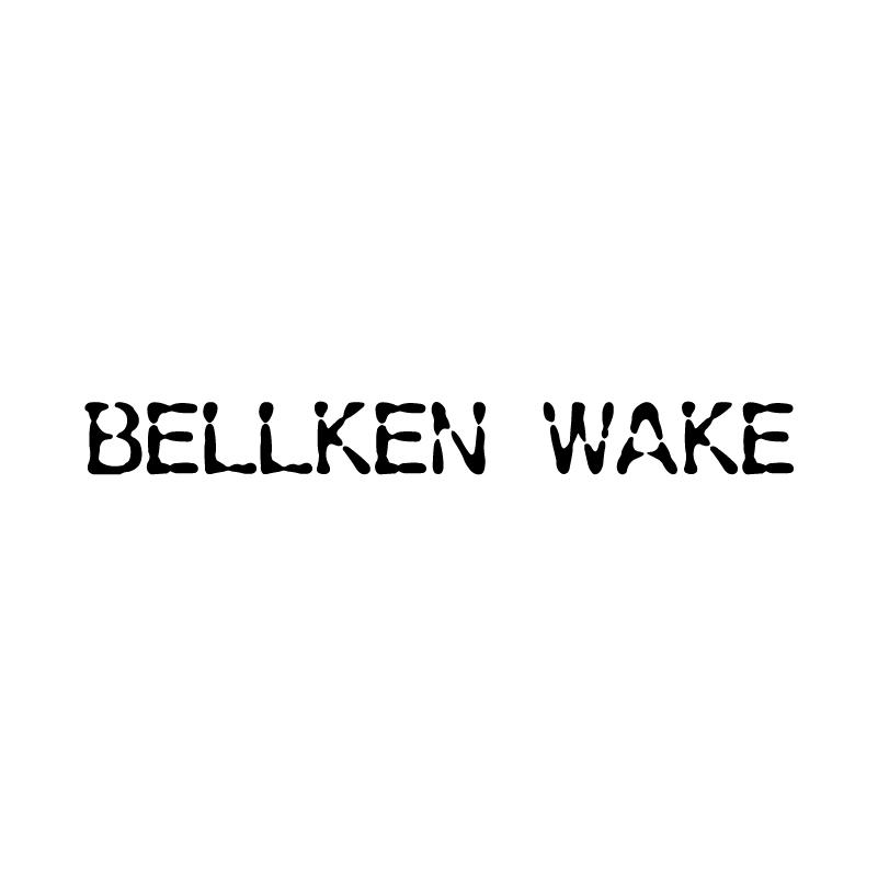 25类-服装鞋帽BELLKEN WAKE商标转让