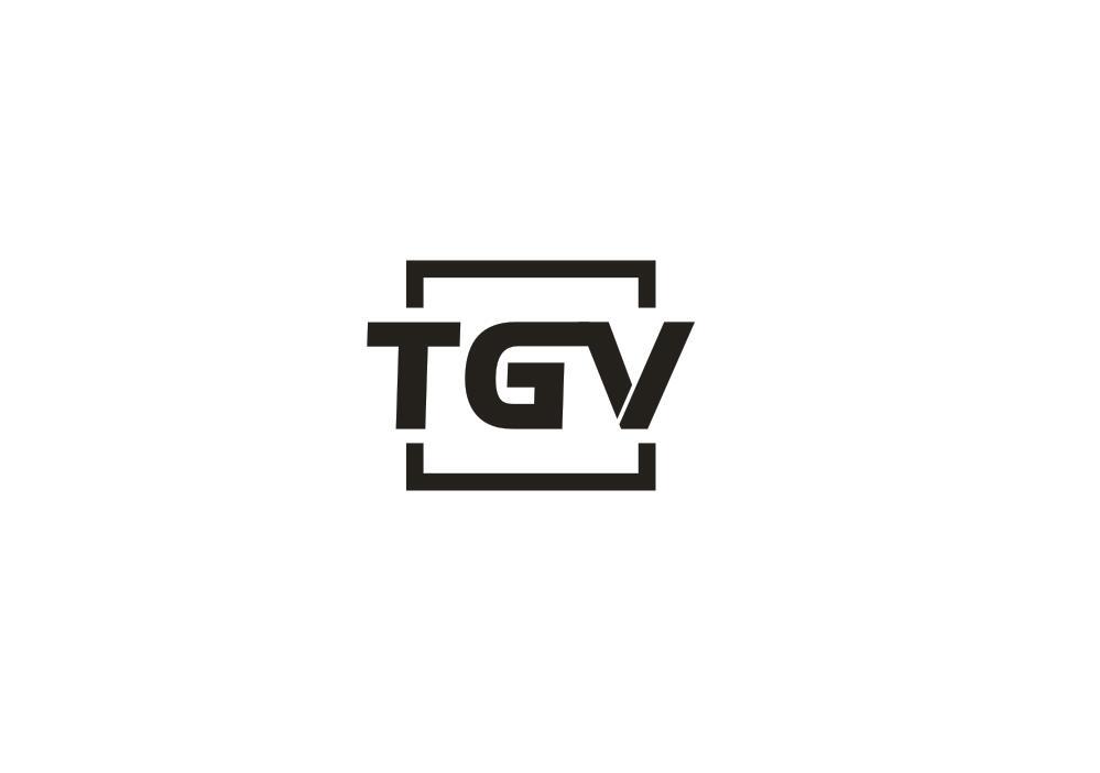 09类-科学仪器TGV商标转让