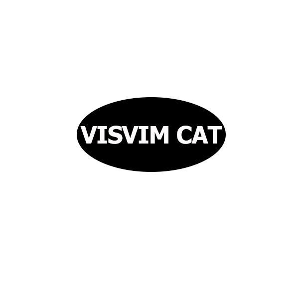 25类-服装鞋帽VISVIM CAT商标转让