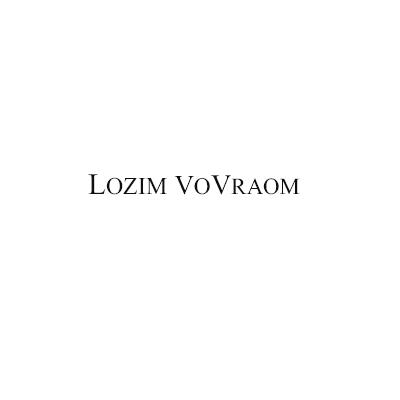 25类-服装鞋帽LOZIM VOVRAOM商标转让
