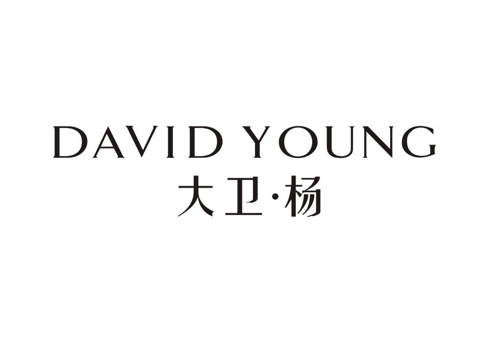 14类-珠宝钟表大卫·杨 DAVID YOUNG商标转让