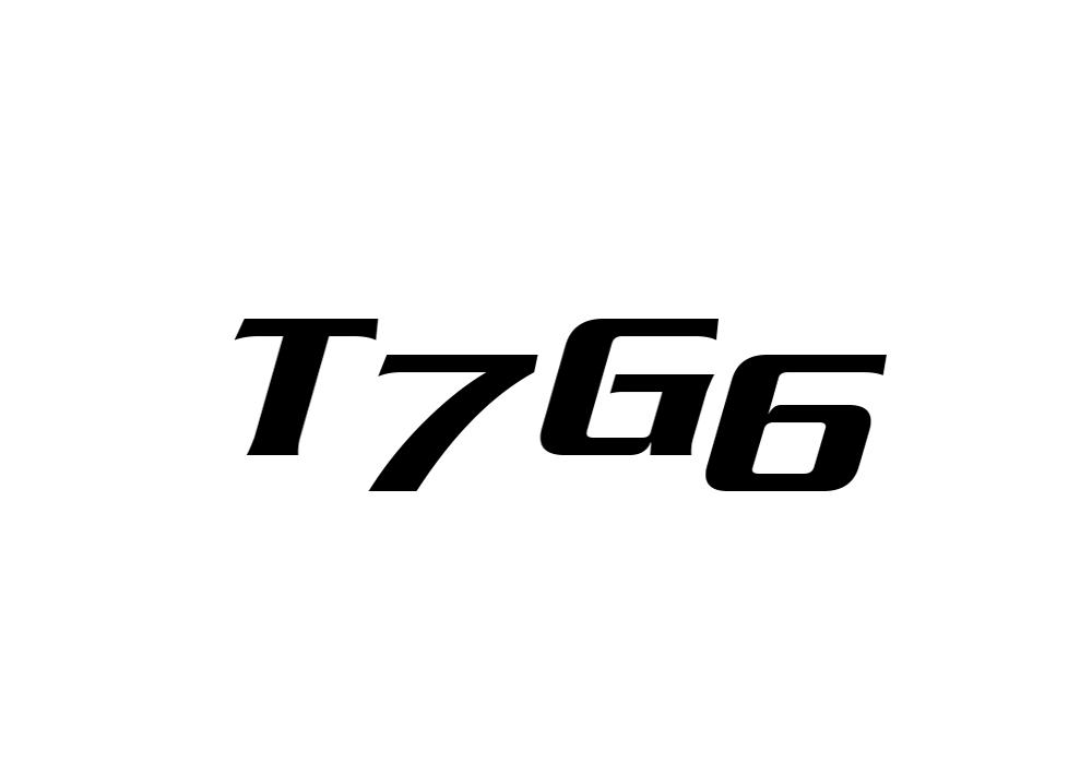 25类-服装鞋帽T7G6商标转让
