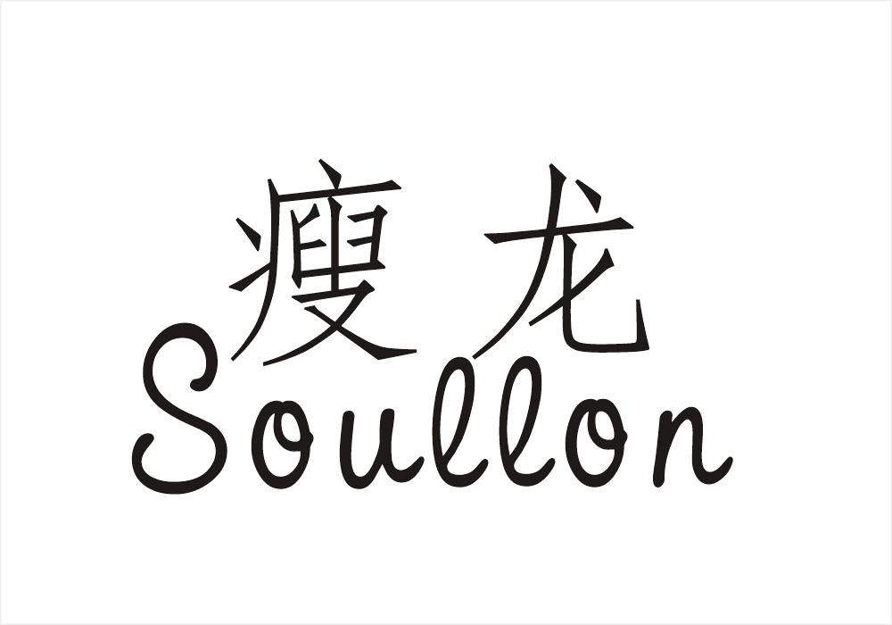 09类-科学仪器瘦龙 SOULLON商标转让