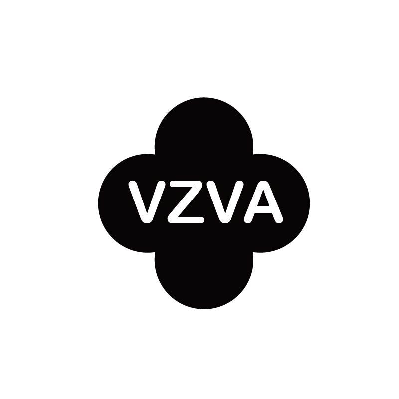 14类-珠宝钟表VZVA商标转让
