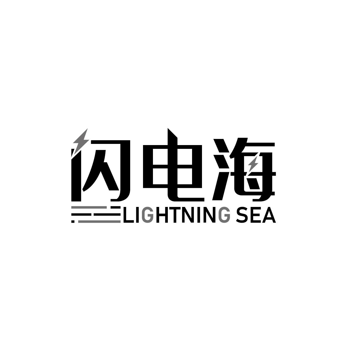 09类-科学仪器闪电海 LIGHTNING SEA商标转让