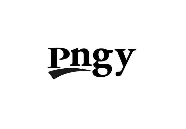 09类-科学仪器PNGY商标转让