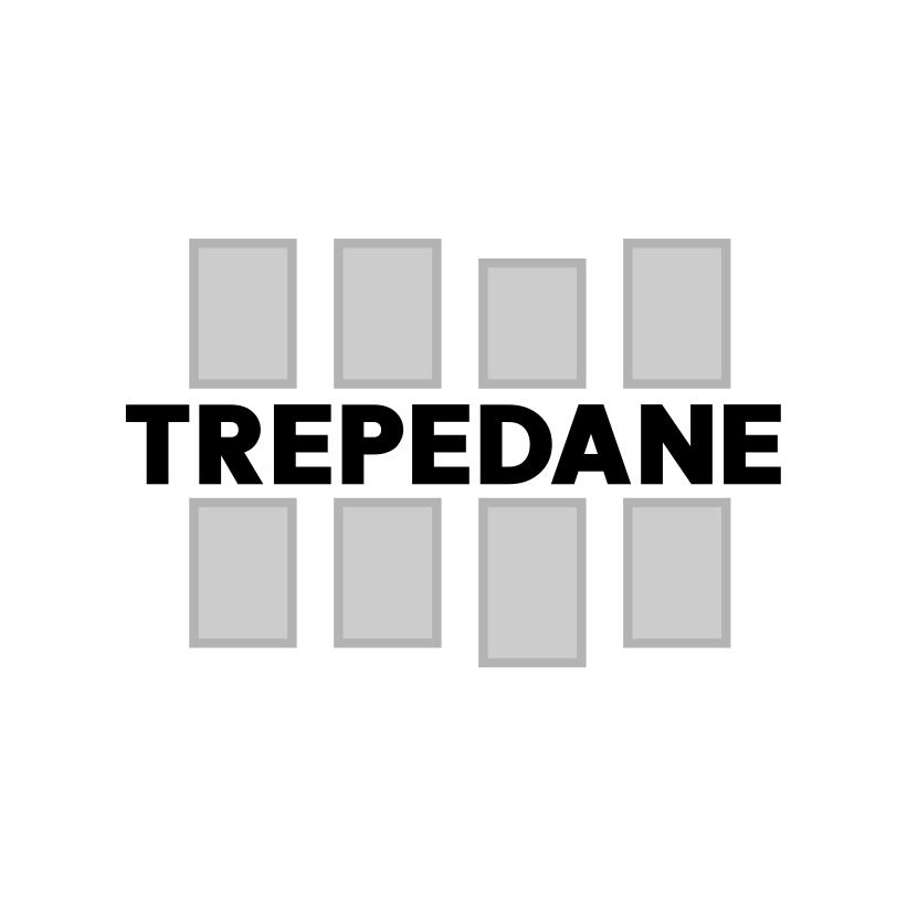 25类-服装鞋帽TREPEDANE商标转让