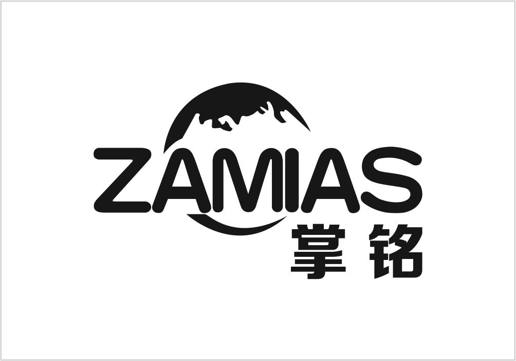 09类-科学仪器ZAMIAS 掌铭商标转让