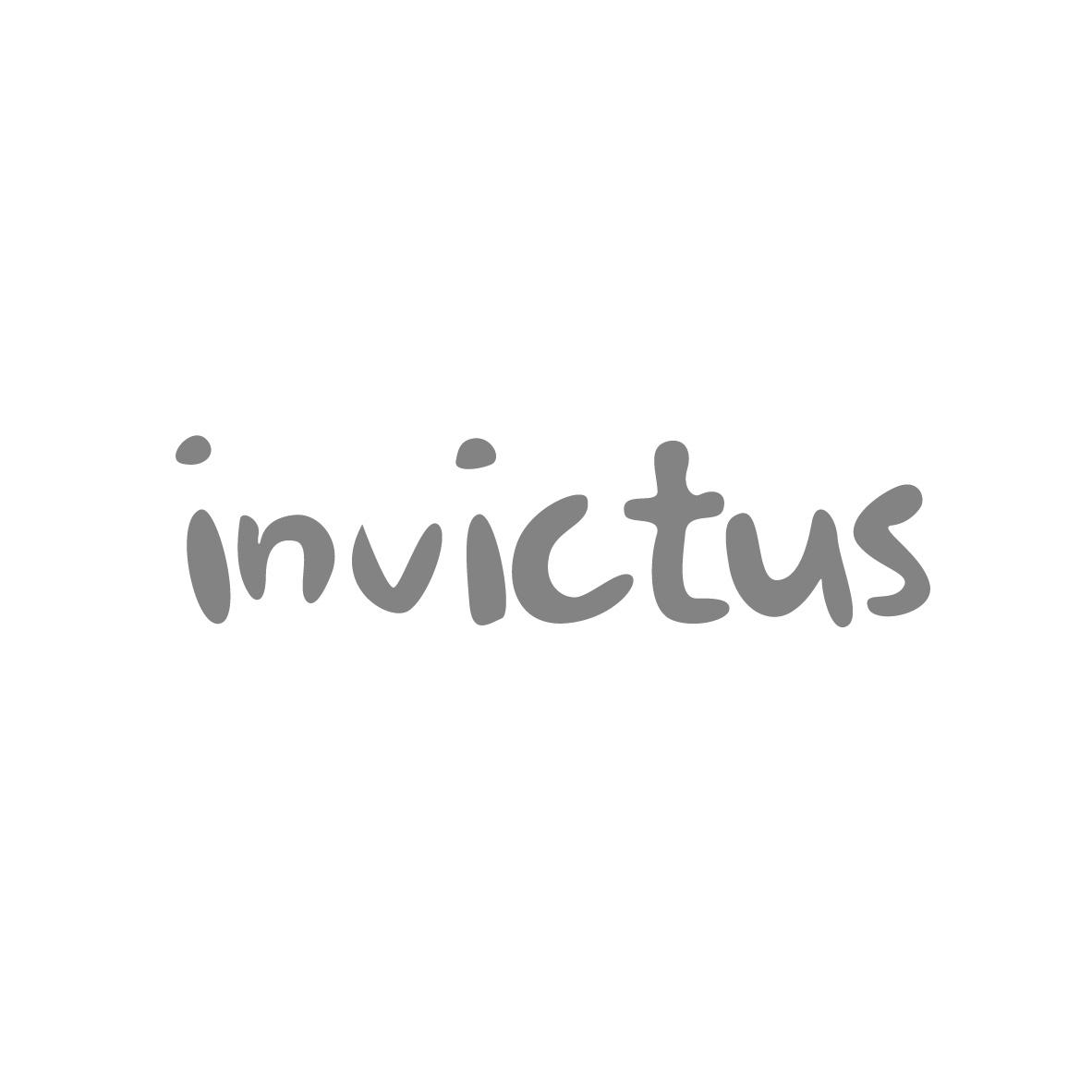 19类-建筑材料INVICTUS商标转让