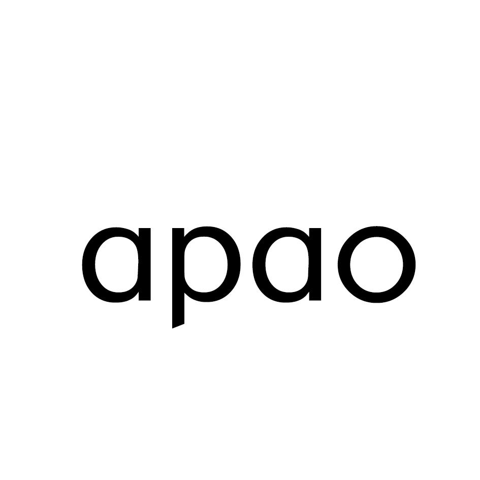 09类-科学仪器APAO商标转让