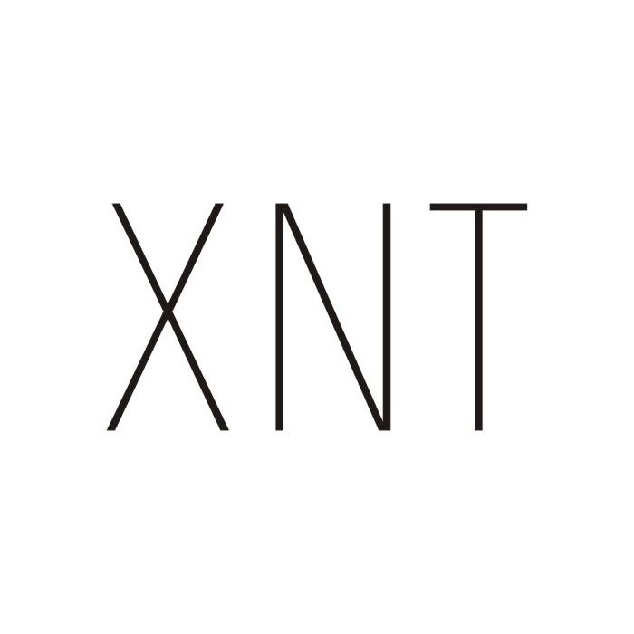 03类-日化用品XNT商标转让
