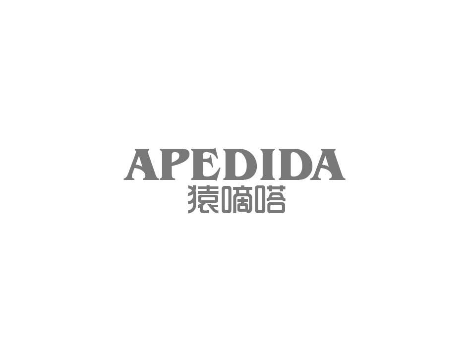 09类-科学仪器猿嘀嗒 APEDIDA商标转让