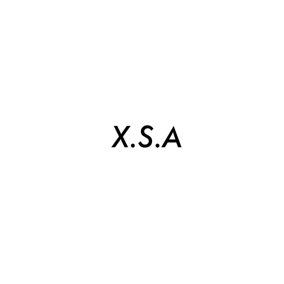 11类-电器灯具X.S.A商标转让