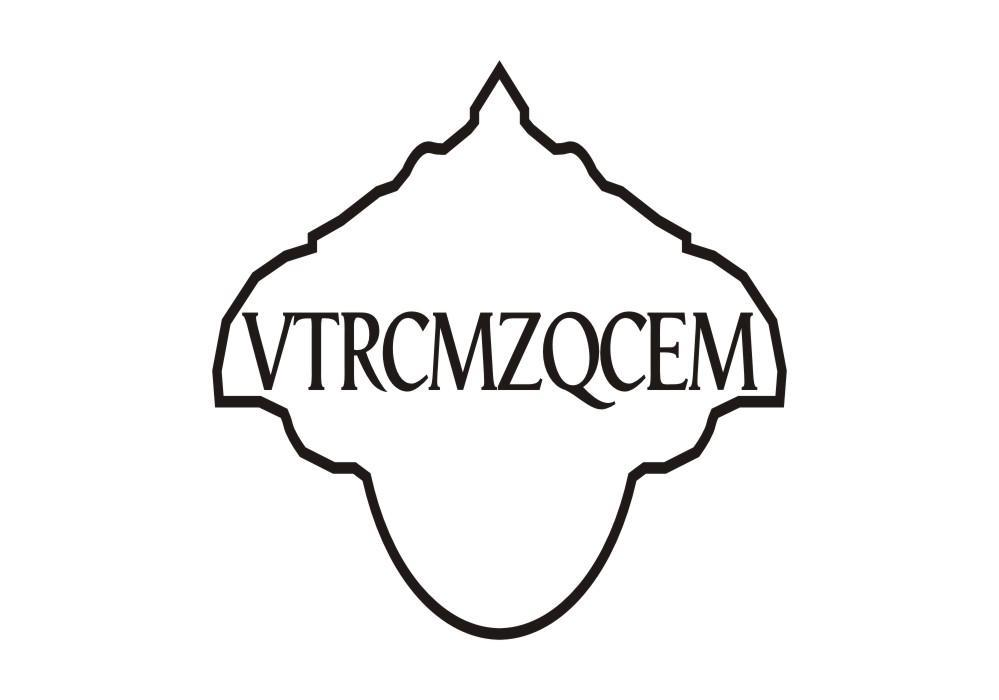 25类-服装鞋帽VTRCMZQCEM商标转让