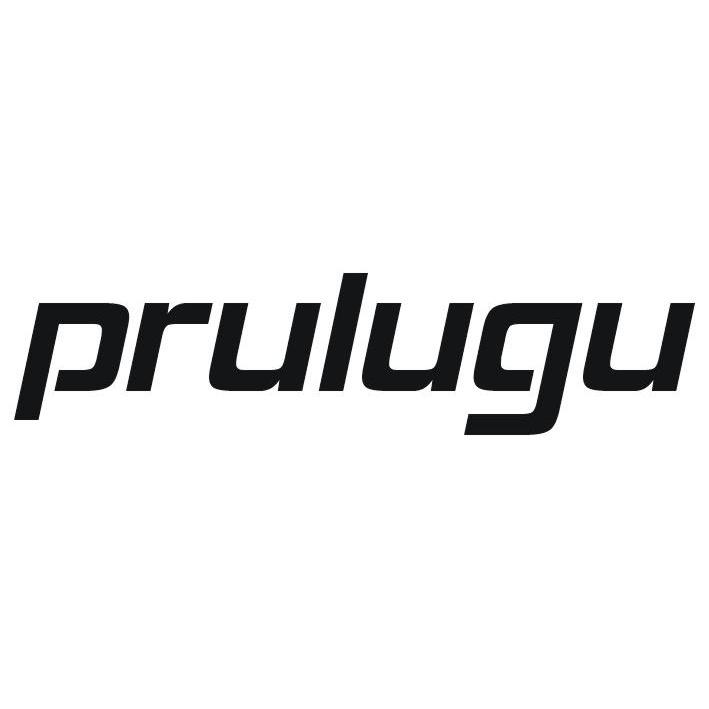 09类-科学仪器PRULUGU商标转让