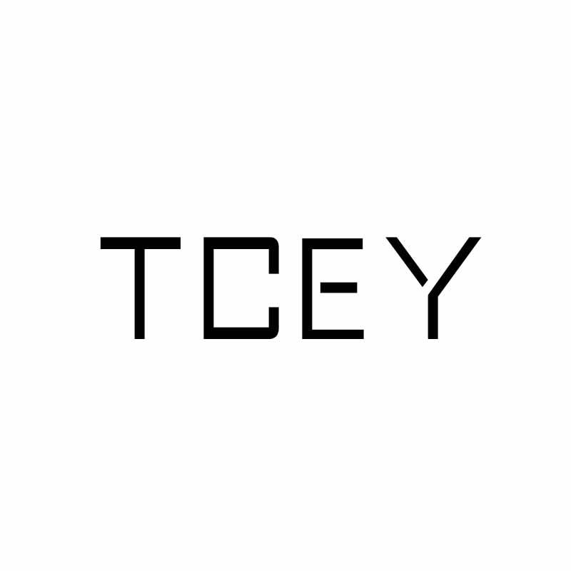 09类-科学仪器TCEY商标转让