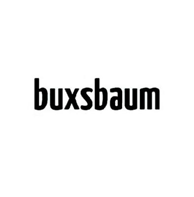 25类-服装鞋帽BUXSBAUM商标转让