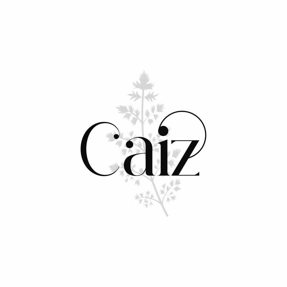 25类-服装鞋帽CAIZ商标转让