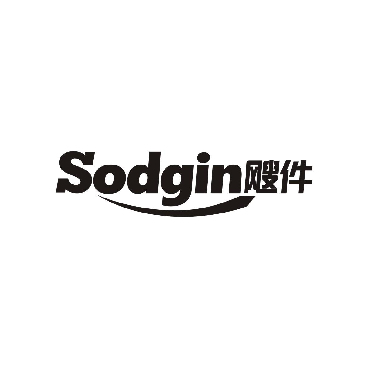 09类-科学仪器SODGIN飕件商标转让