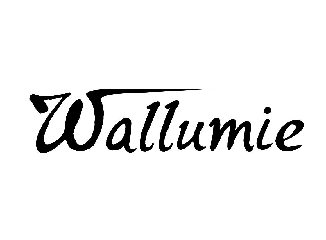25类-服装鞋帽WALLUMIE商标转让
