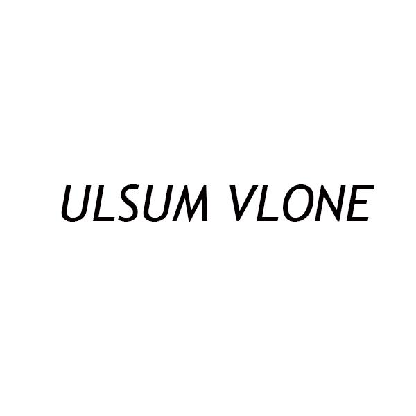 25类-服装鞋帽ULSUM VLONE商标转让