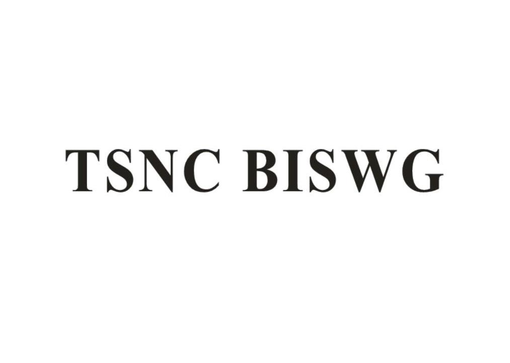 25类-服装鞋帽TSNC BISWG商标转让