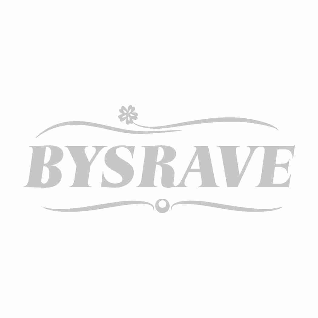 BYSRAVE商标转让