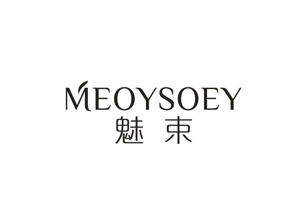 21类-厨具瓷器魅束 MEOYSOEY商标转让