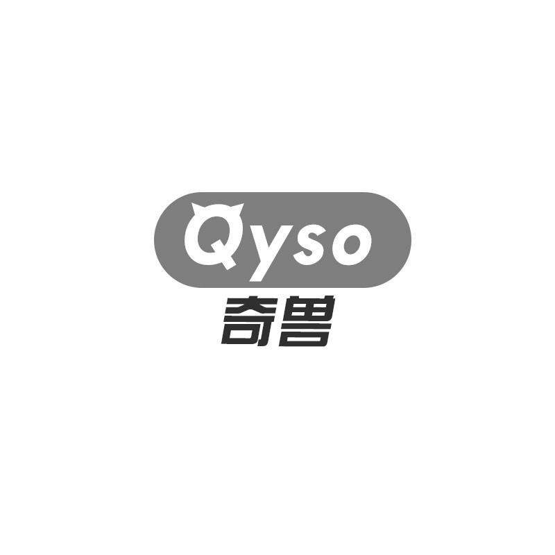09类-科学仪器奇兽 QYSO商标转让