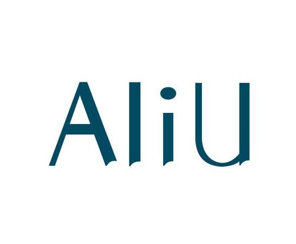06类-金属材料ALIU商标转让