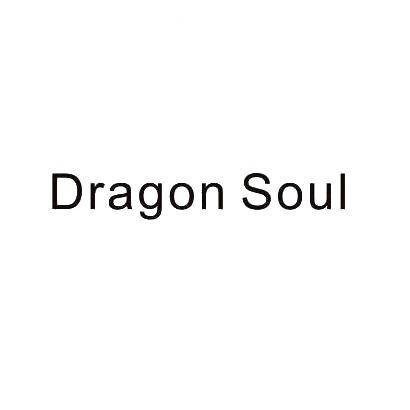 28类-健身玩具DRAGON SOUL商标转让