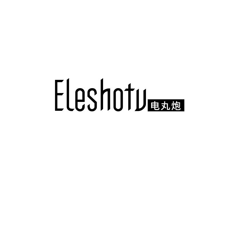 09类-科学仪器ELESHOTU 电丸炮商标转让