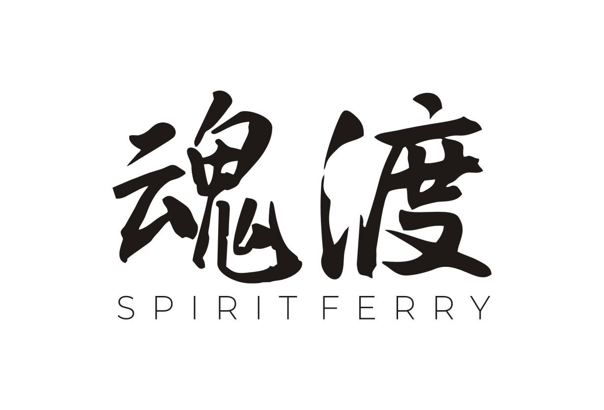 09类-科学仪器魂渡 SPIRIT FERRY商标转让