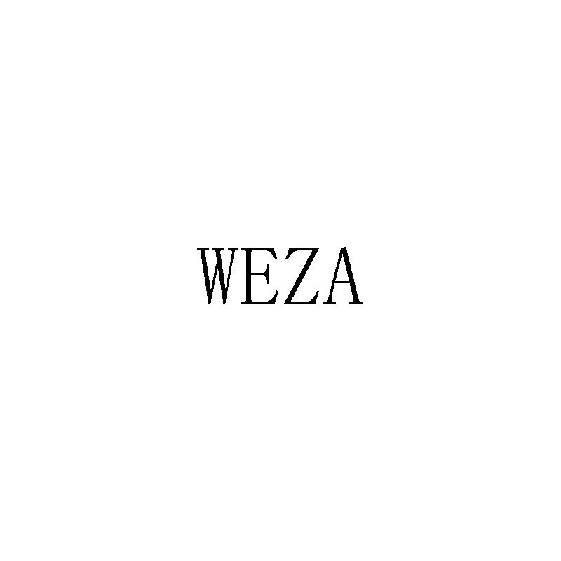 35类-广告销售WEZA商标转让