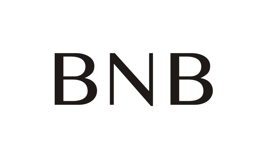 01类-化学原料BNB商标转让