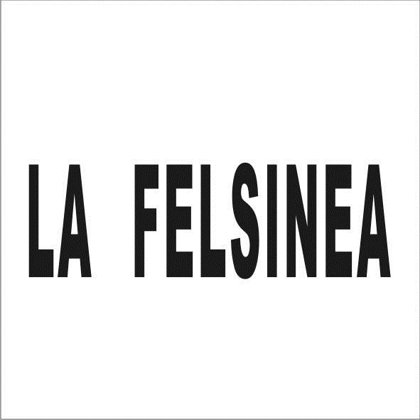 11类-电器灯具LA FELSINEA商标转让