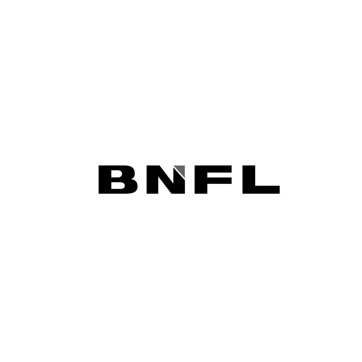 03类-日化用品BNFL商标转让