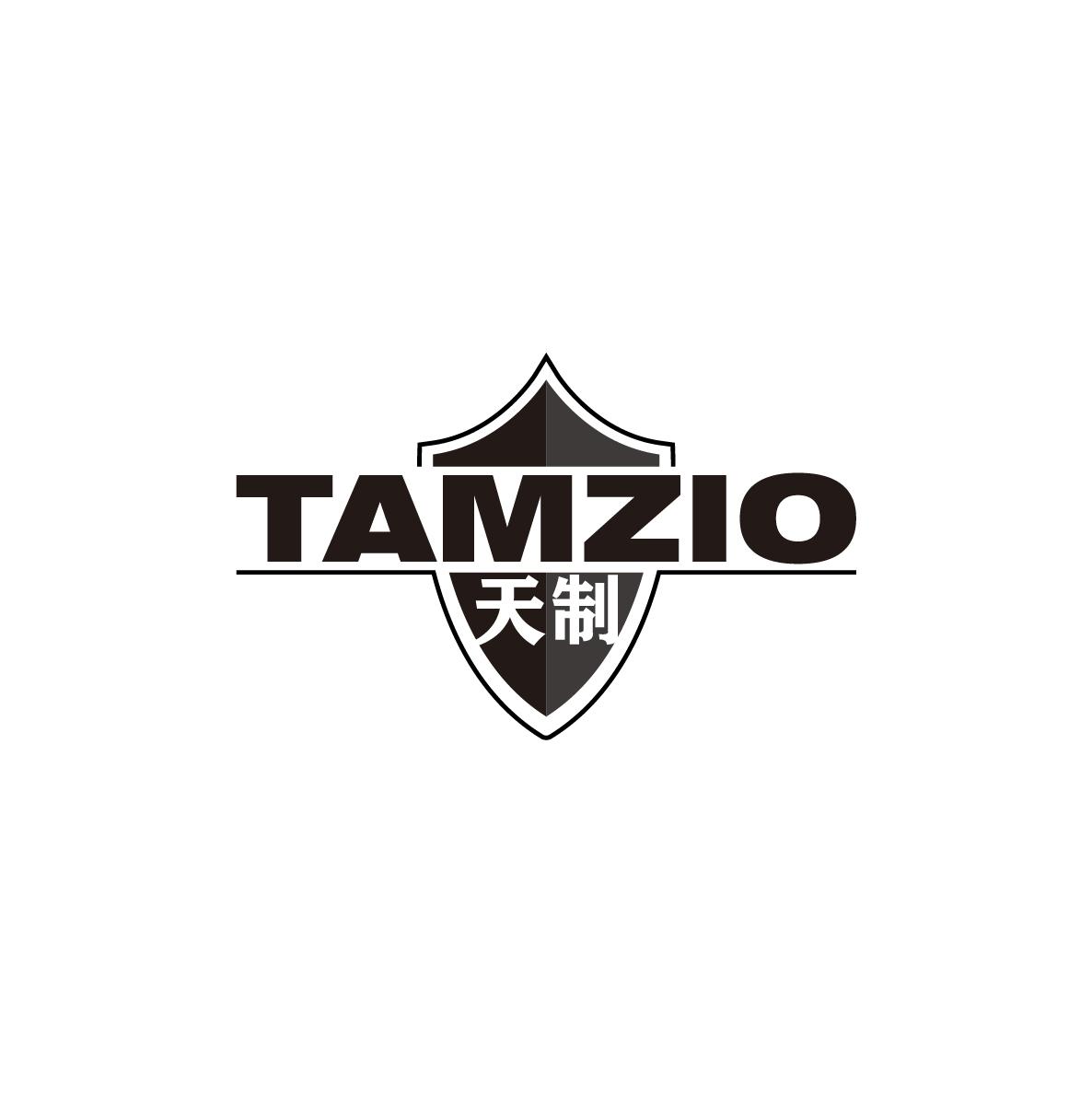 19类-建筑材料天制 TAMZIO商标转让