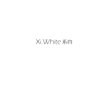 35类-广告销售系白 XI.WHITE商标转让