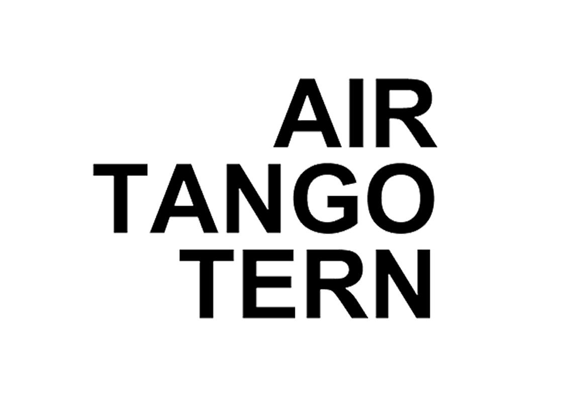 25类-服装鞋帽AIR TANGO TERN商标转让