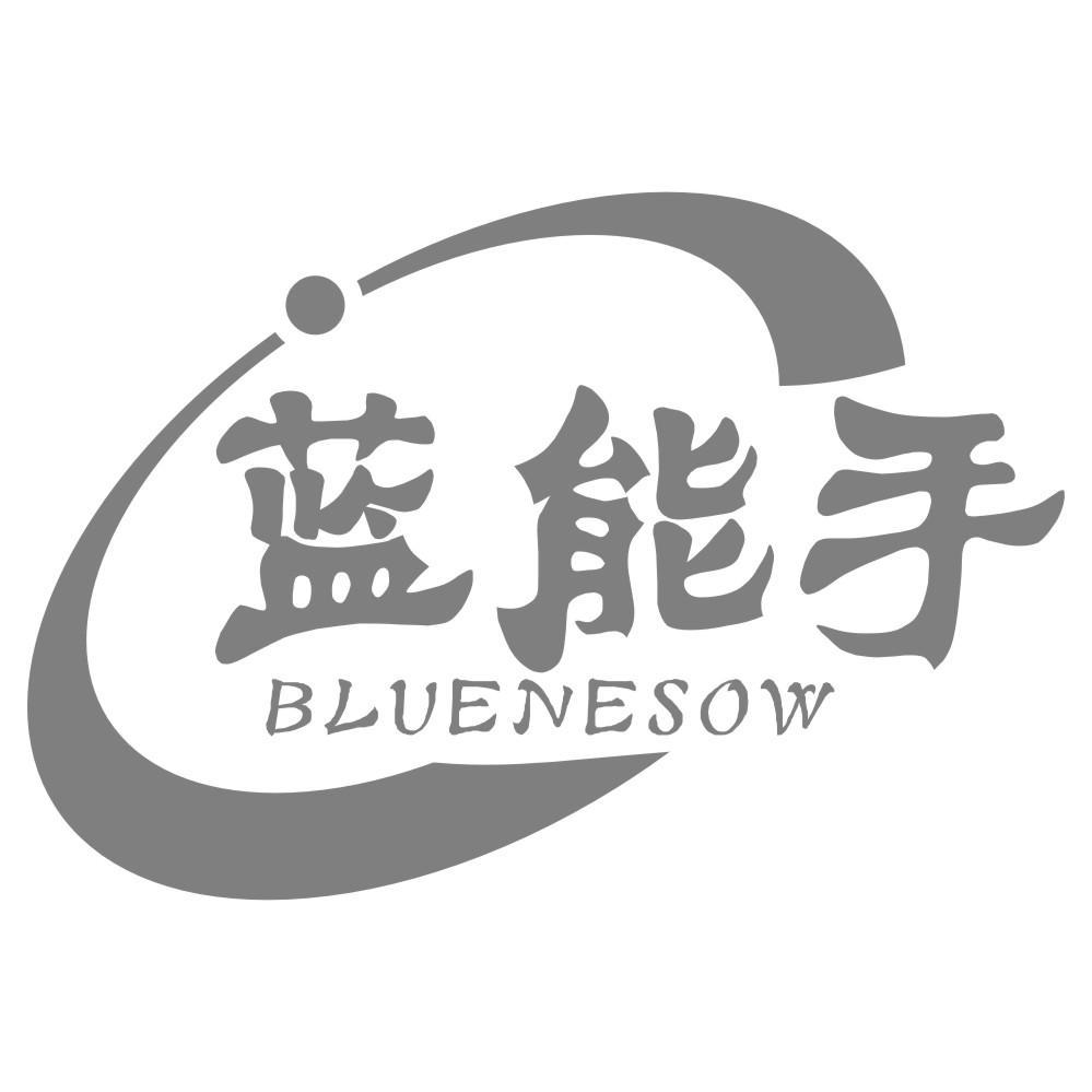 09类-科学仪器蓝能手 BLUENESOW商标转让